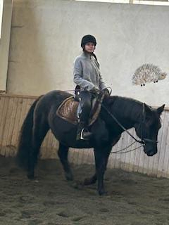 Centre Equestre De La Résilience