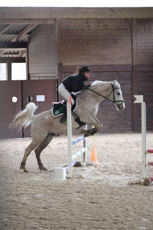 Centre Equestre De La Résilience