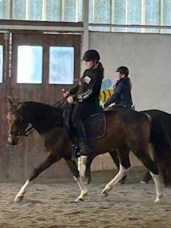 Centre Equestre De La Résilience
