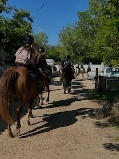 Centre Equestre De La Résilience