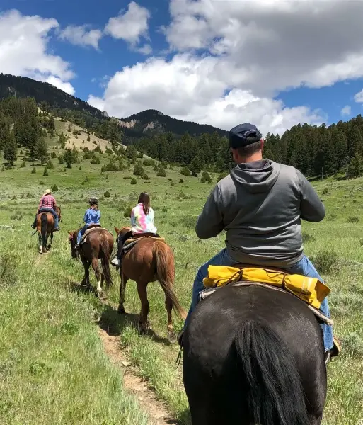 Centre Equestre De La Resilience Formation Equestre En Ligne Marseille Promenades