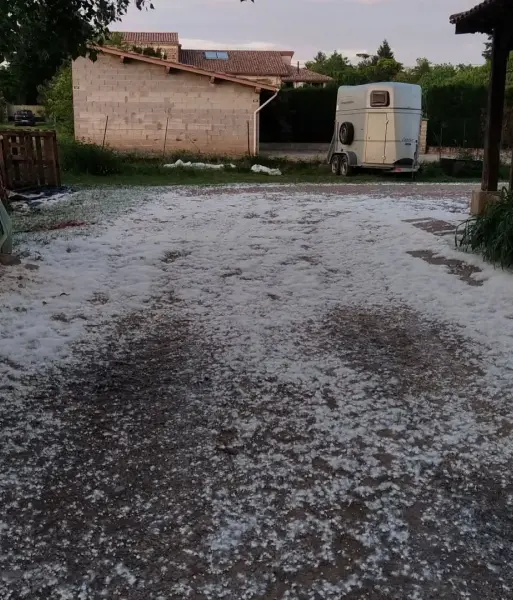 Centre Equestre De La Resilience Formation Equestre En Ligne Marseille Rencontres