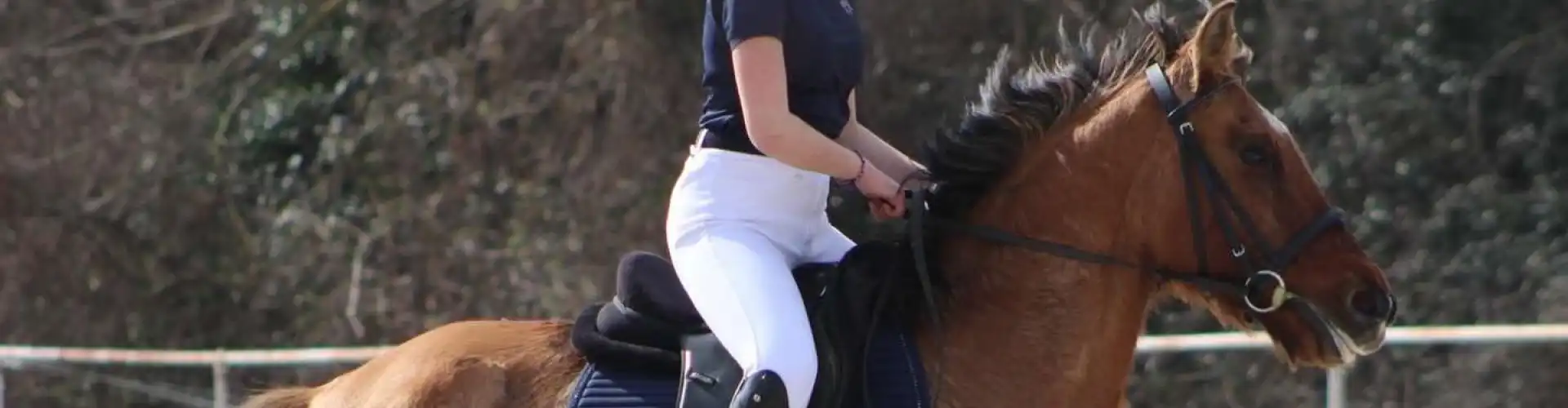 Formation équitation à distance à Saint-Étienne