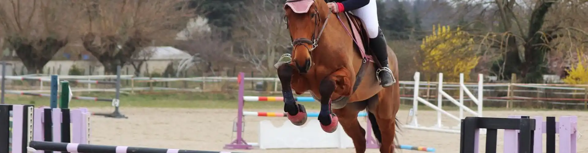 Formation gestion de la chute à cheval à Nice
