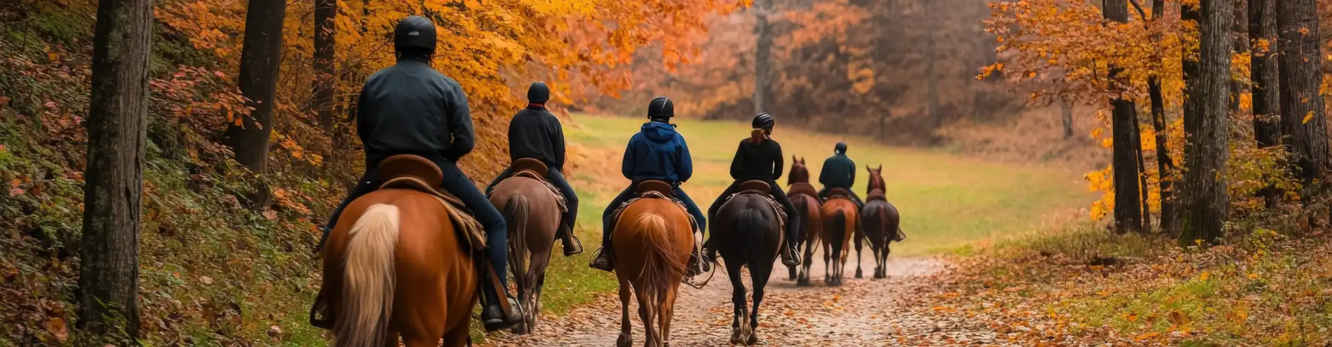 Formation équestre en ligne à Saint-Étienne - Centre équestre de la Résilience